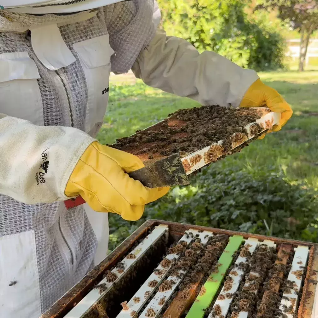 KPU student at internship