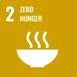 Alt text: Sustainable Development Goal 2 icon with the number 2 and the words “Zero Hunger” above a white bowl with steam rising on a mustard yellow background.