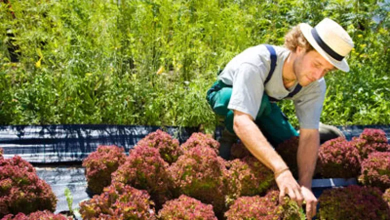 Horticulture Ceremony